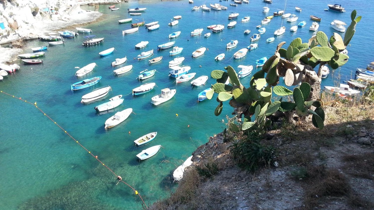 Photo of Others in Le Forna