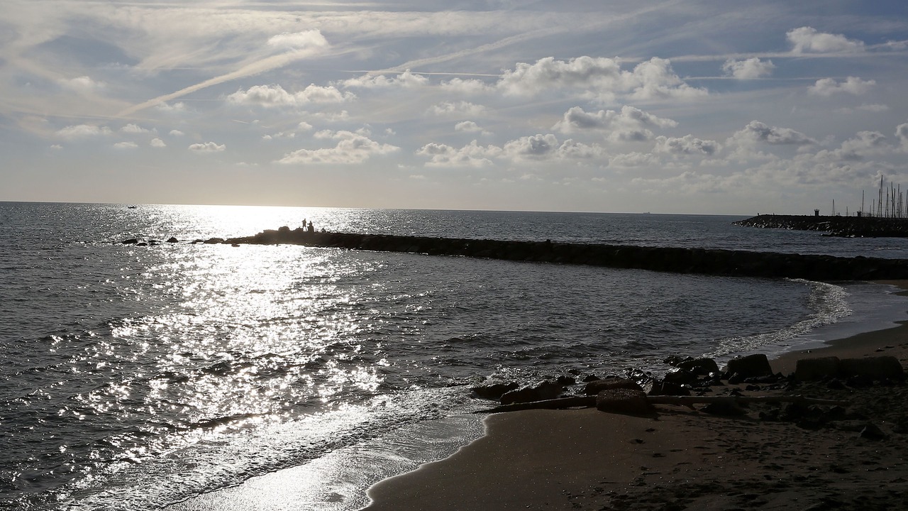 Photo of Others in Quartiere XXXIII Lido di Ostia Ponente