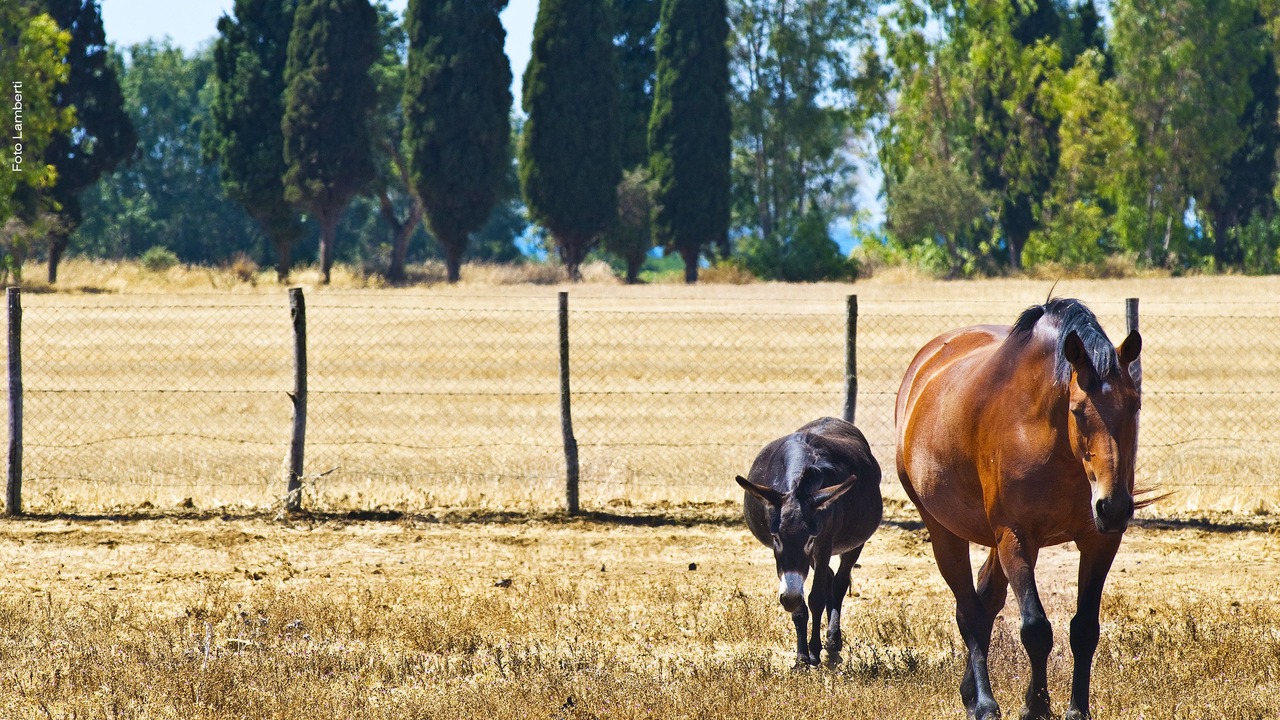 Photo of Outdoor in Tarquinia