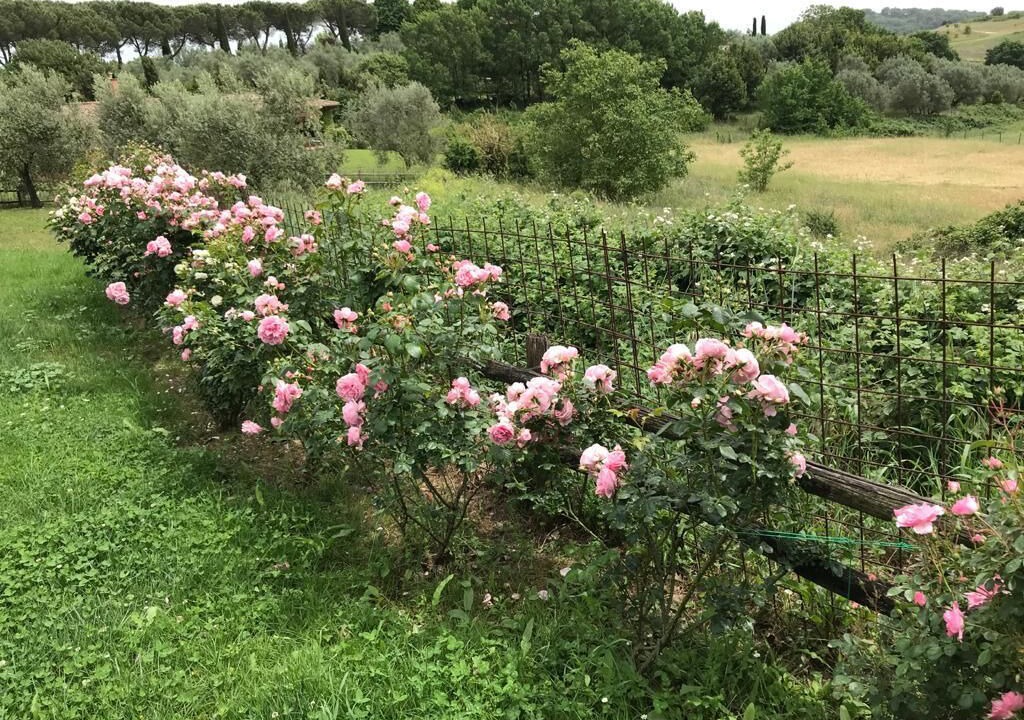 Photo of Outdoor in Nepi