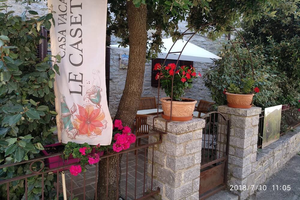 Photo of Outdoor in Petricci