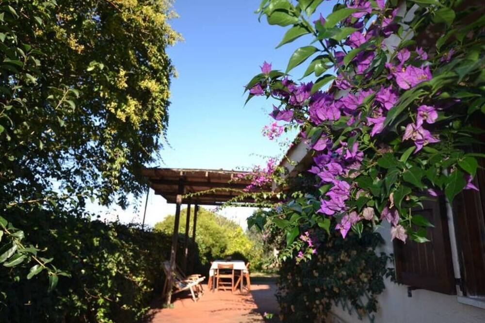 Photo of Outdoor in Monte Argentario