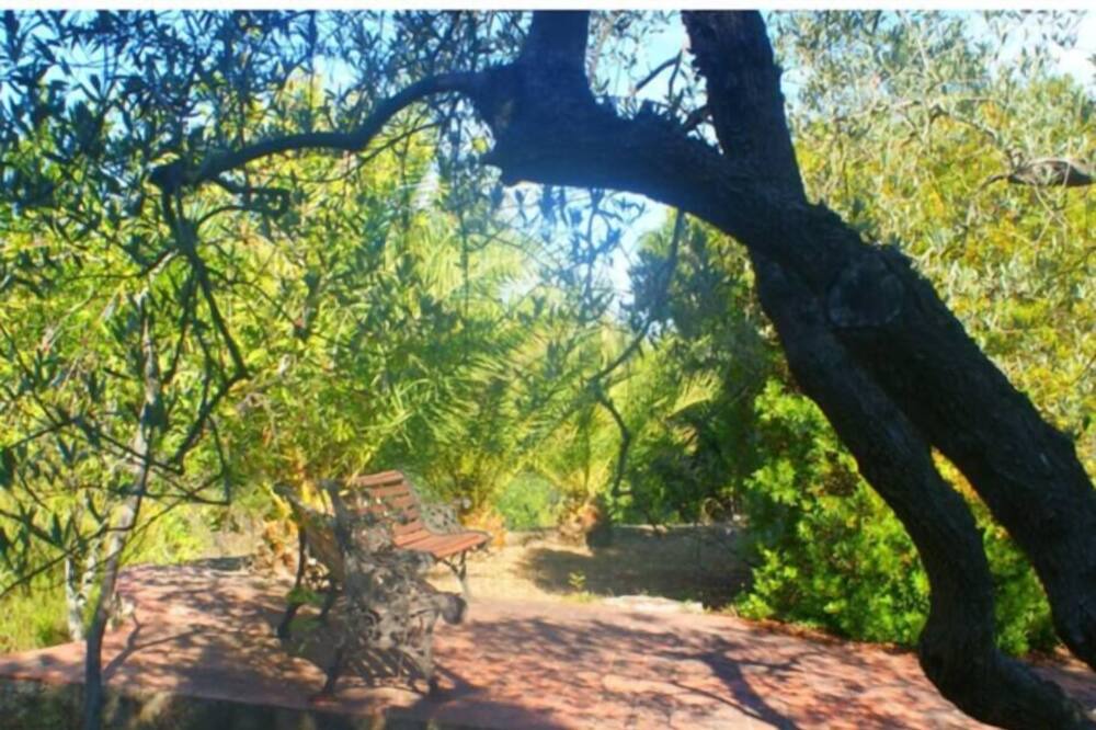 Photo of Outdoor in Monte Argentario