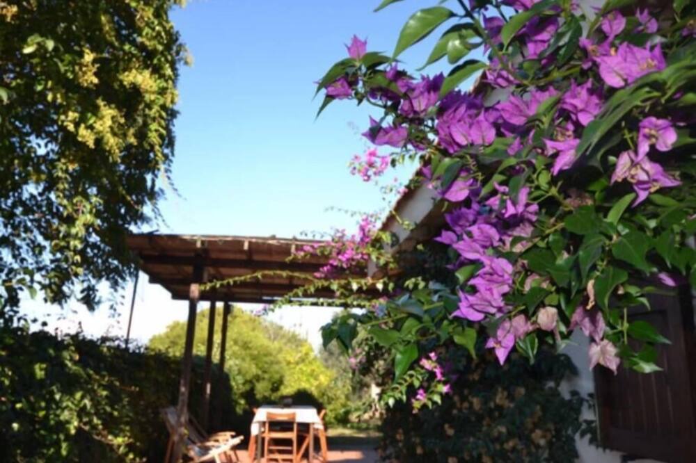 Photo of Outdoor in Monte Argentario