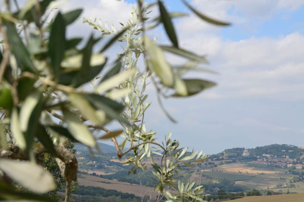 Photo of Outdoor in Todi