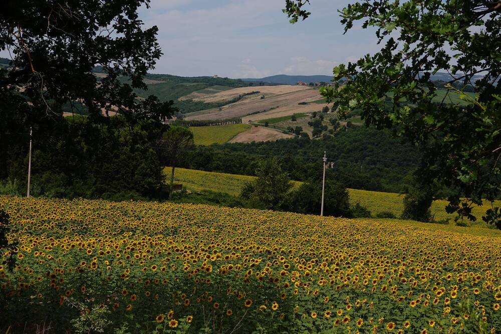 Photo of Outdoor in Todi