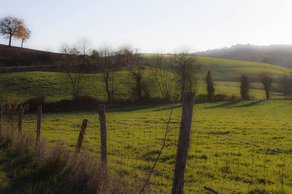 Photo of Outdoor in Petricci