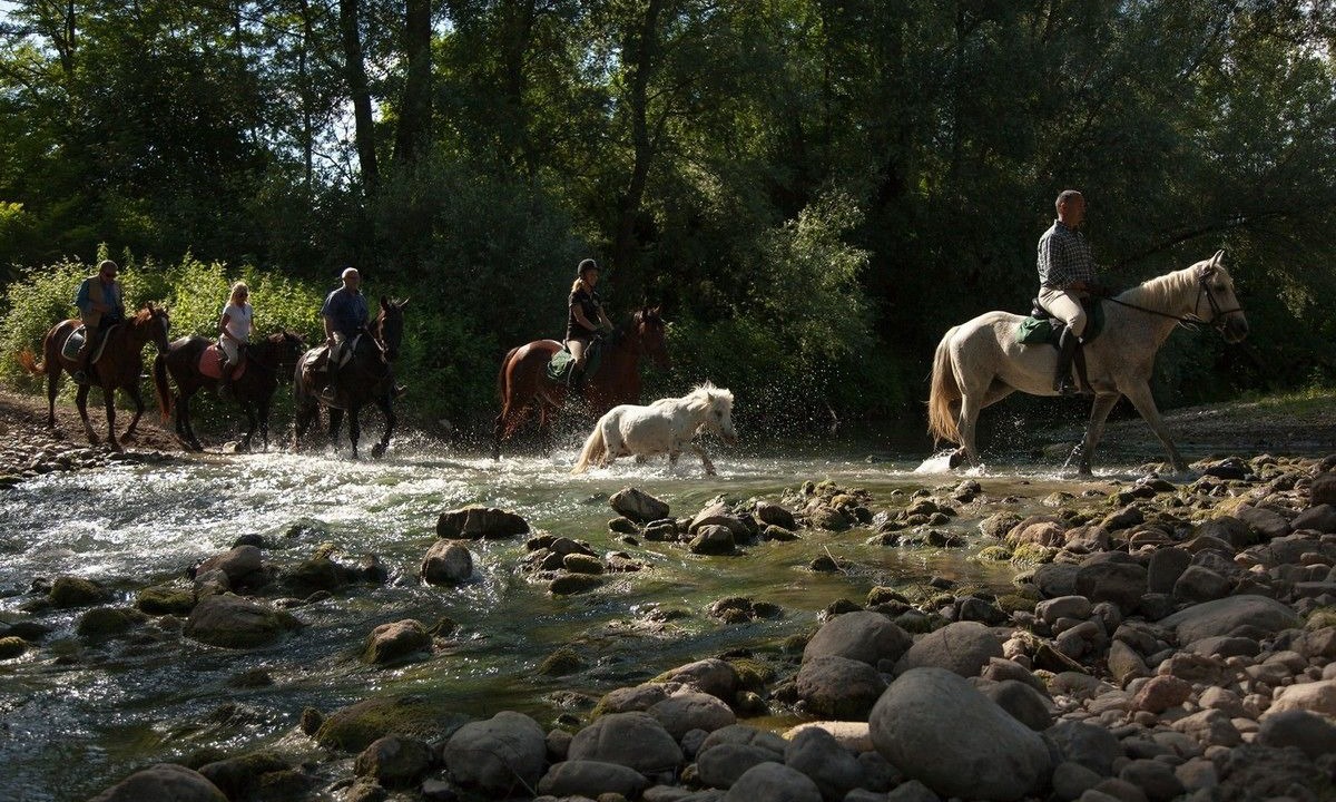 Photo of Others in Ficulle