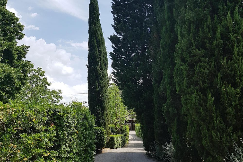 Photo of Outdoor in Panicale