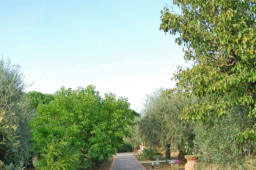 Photo of Outdoor in Scarlino