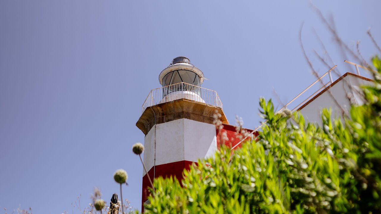 Photo of Outdoor in Isola del Giglio