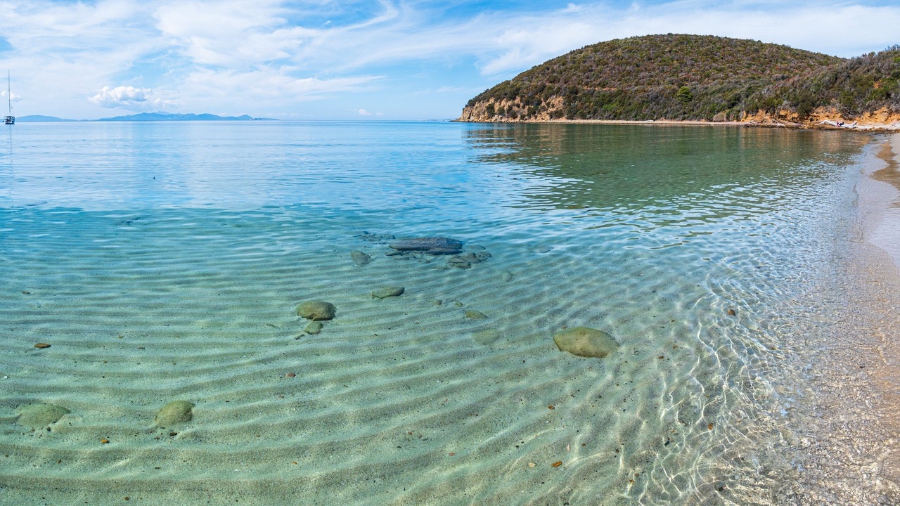 Photo of Others in Isola del Giglio