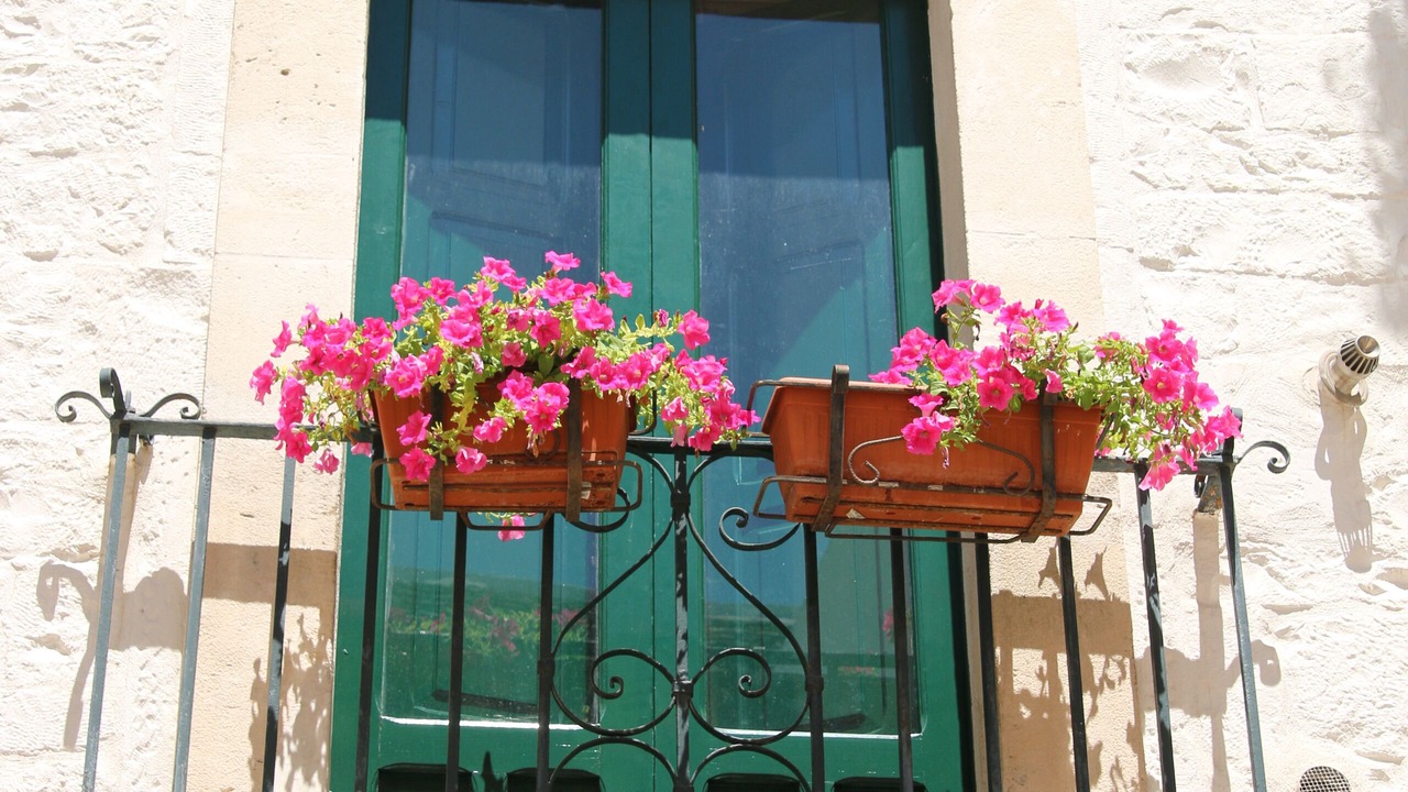 Photo of Outdoor in Posto Rosso