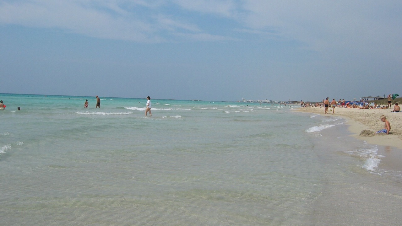 Photo of Others in Posto Rosso