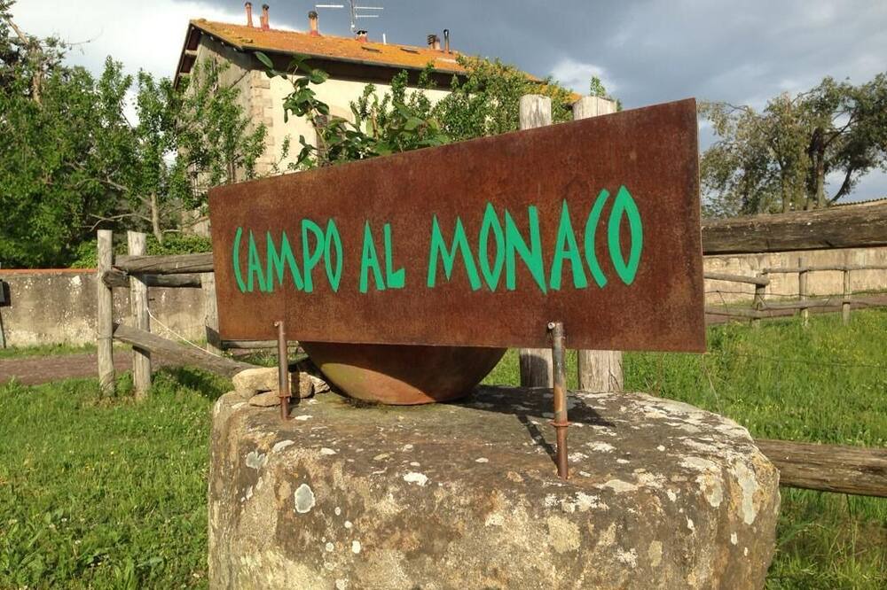 Photo of Outdoor in Sassofortino