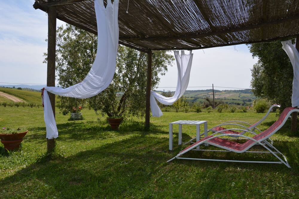 Photo of Outdoor in Scansano