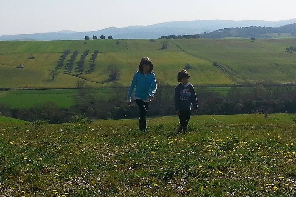Photo of Others in Scansano