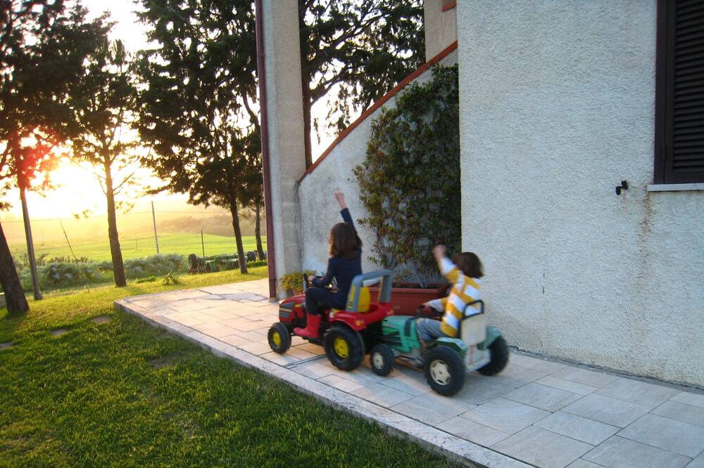 Photo of Outdoor in Scansano