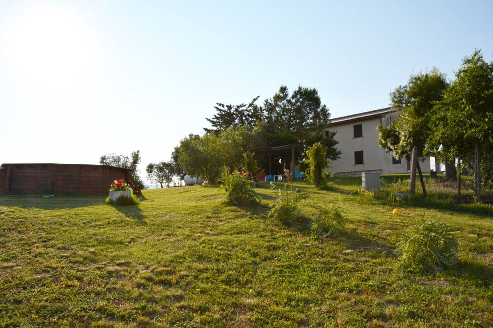 Photo of Outdoor in Scansano
