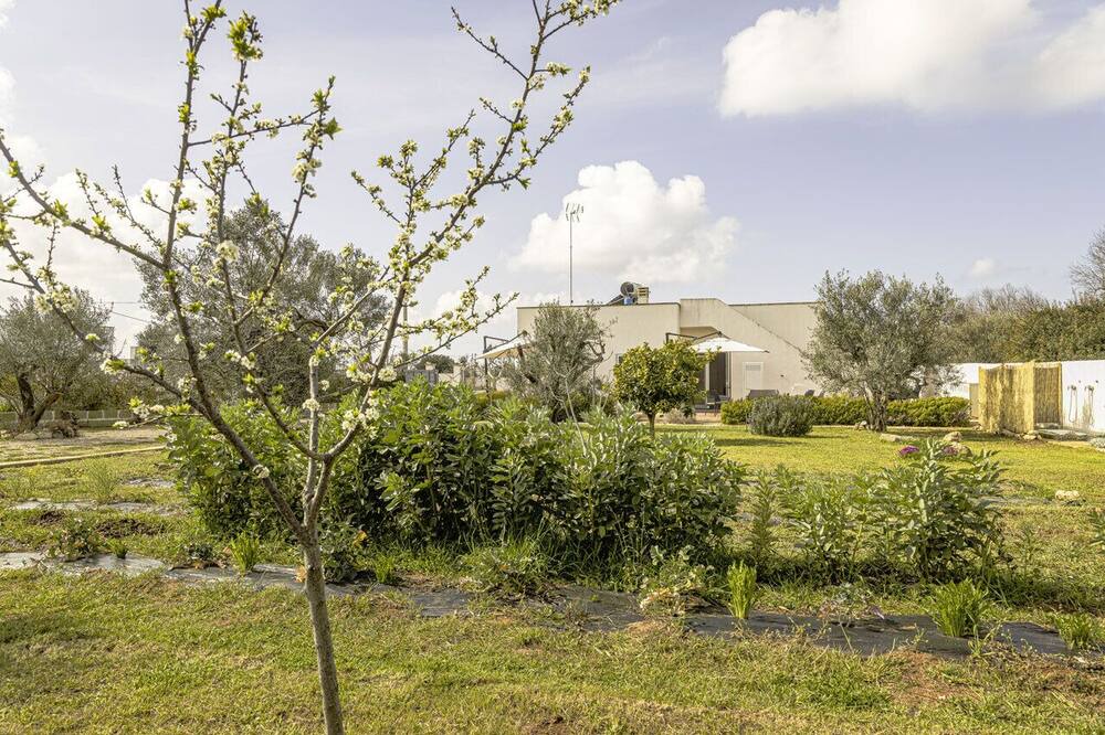 Photo of Outdoor in Posto Rosso