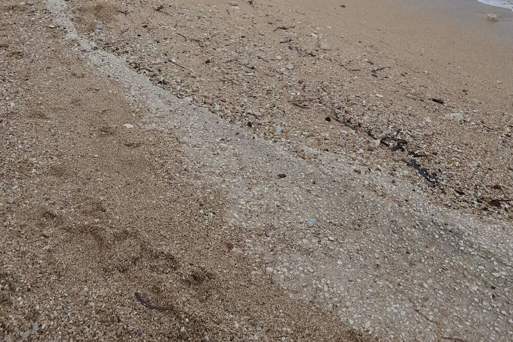 Photo of Others in Mola di Bari