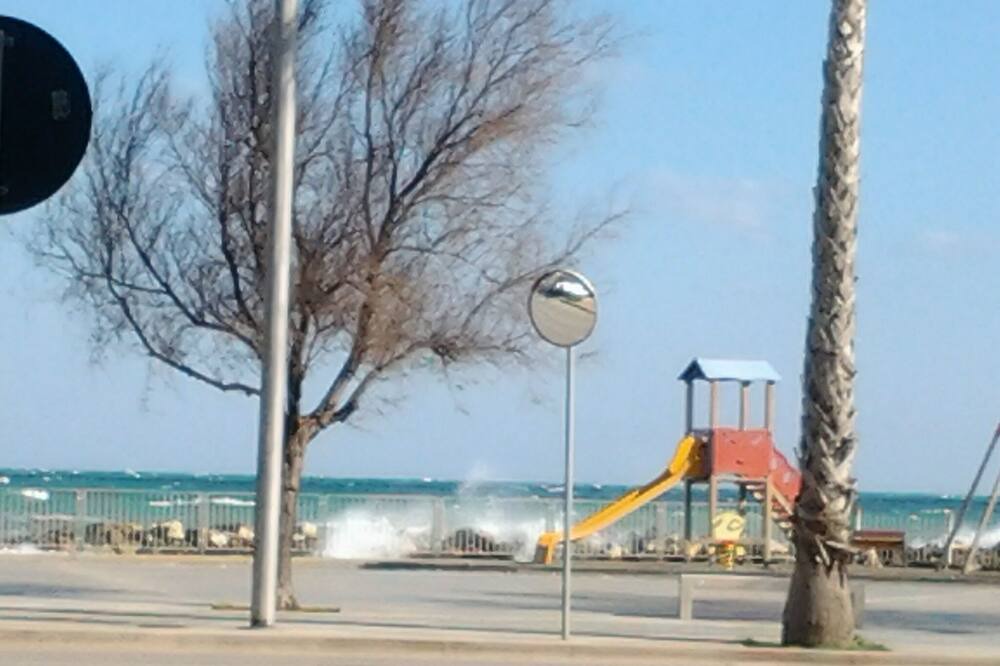 Photo of Others in Mola di Bari