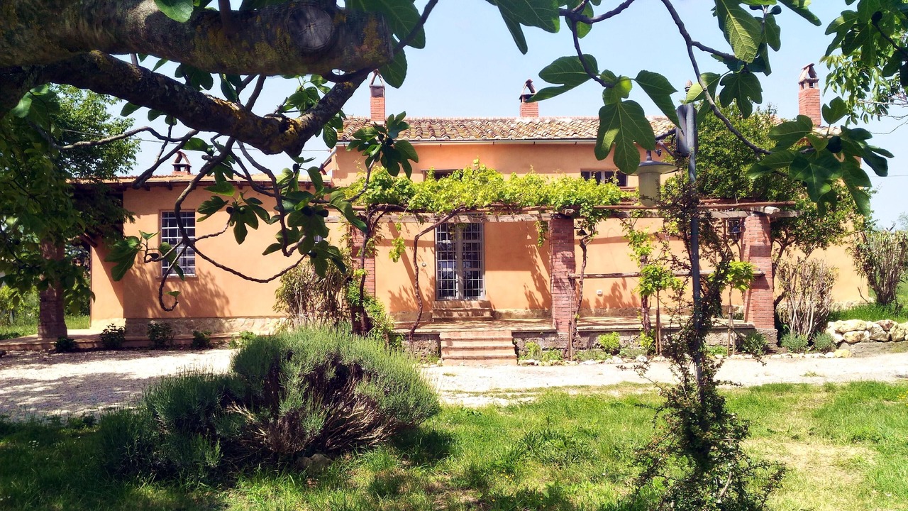 Photo of Outdoor in Amelia