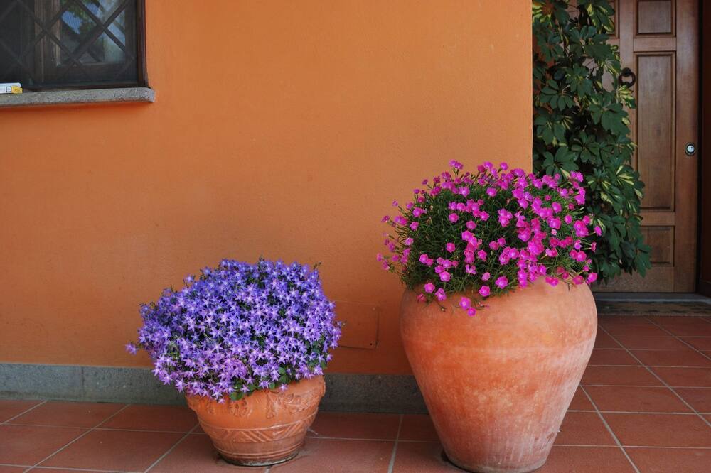 Photo of Others in Fonte Nuova