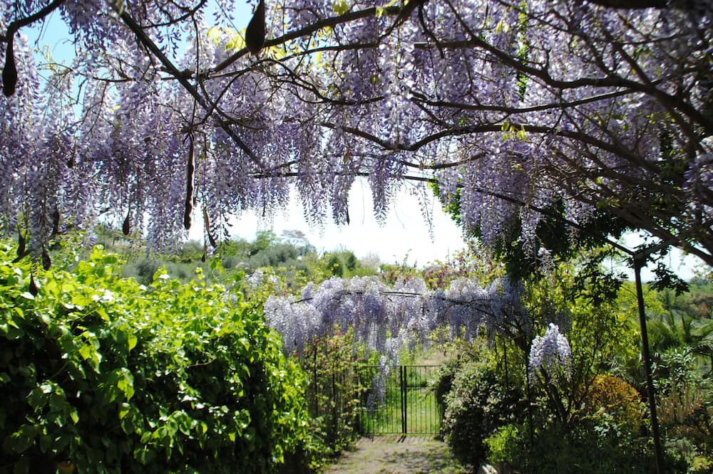 Photo of Outdoor in Fonte Nuova