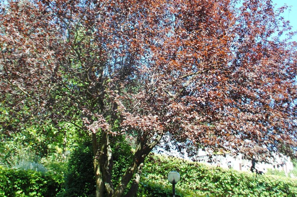Photo of Outdoor in Fonte Nuova