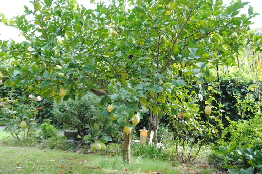 Photo of Outdoor in Fonte Nuova