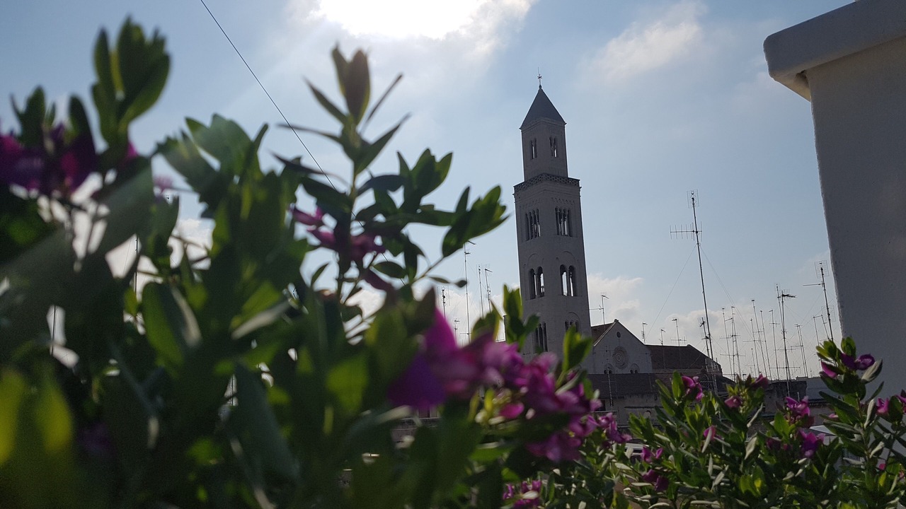 Photo of Outdoor in Old Town