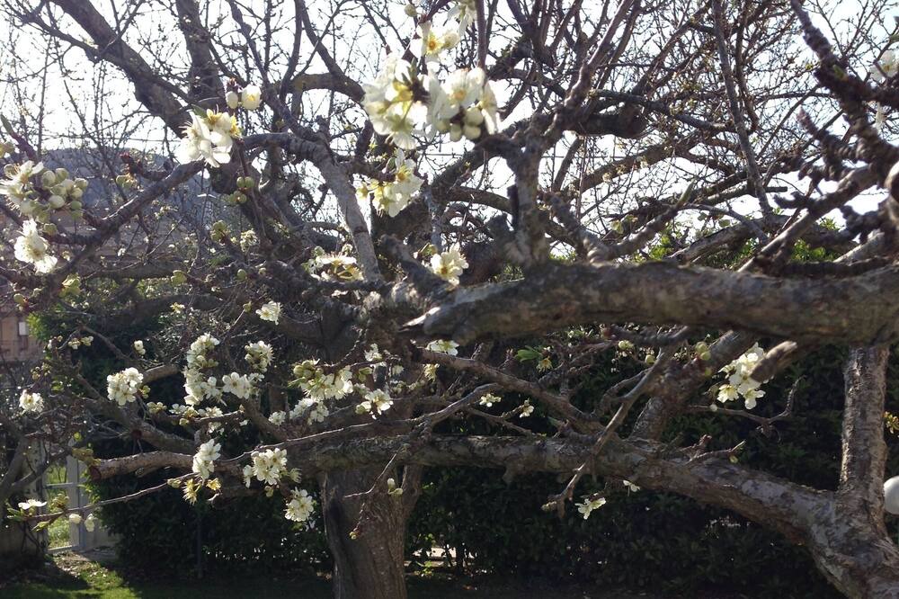Photo of Outdoor in San Felice Circeo