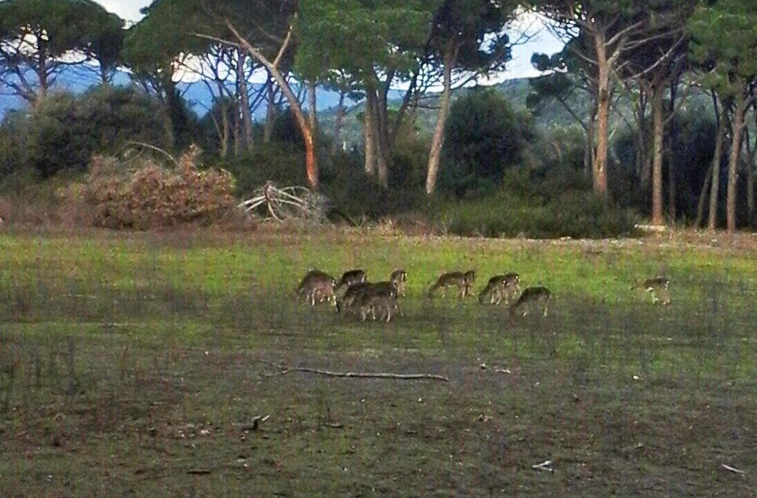 Photo of Outdoor in Ansedonia