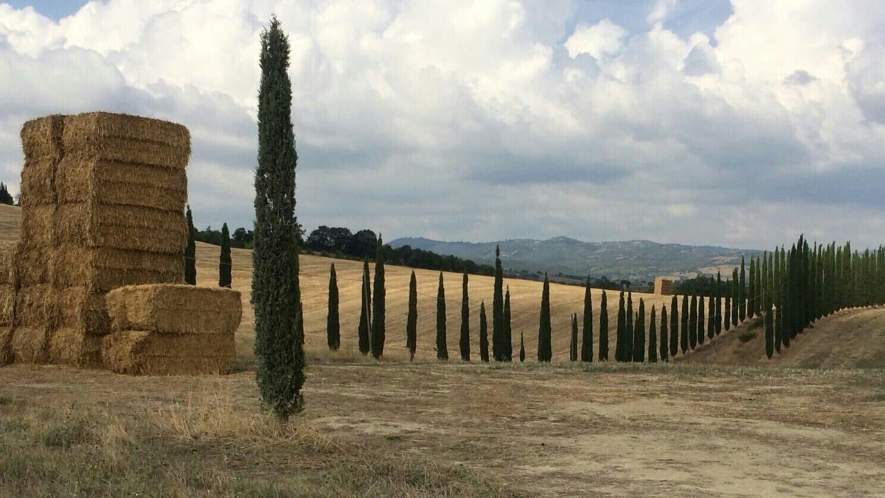 Photo of Others in Ansedonia