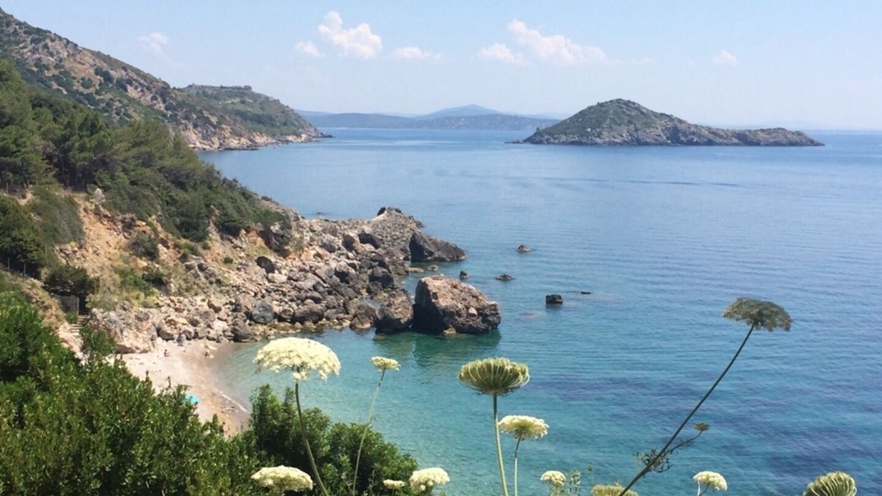 Photo of Others in Ansedonia