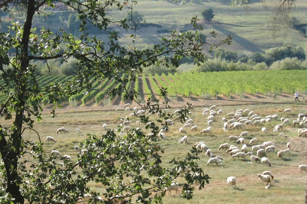 Photo of Outdoor in Calvi di Umbria