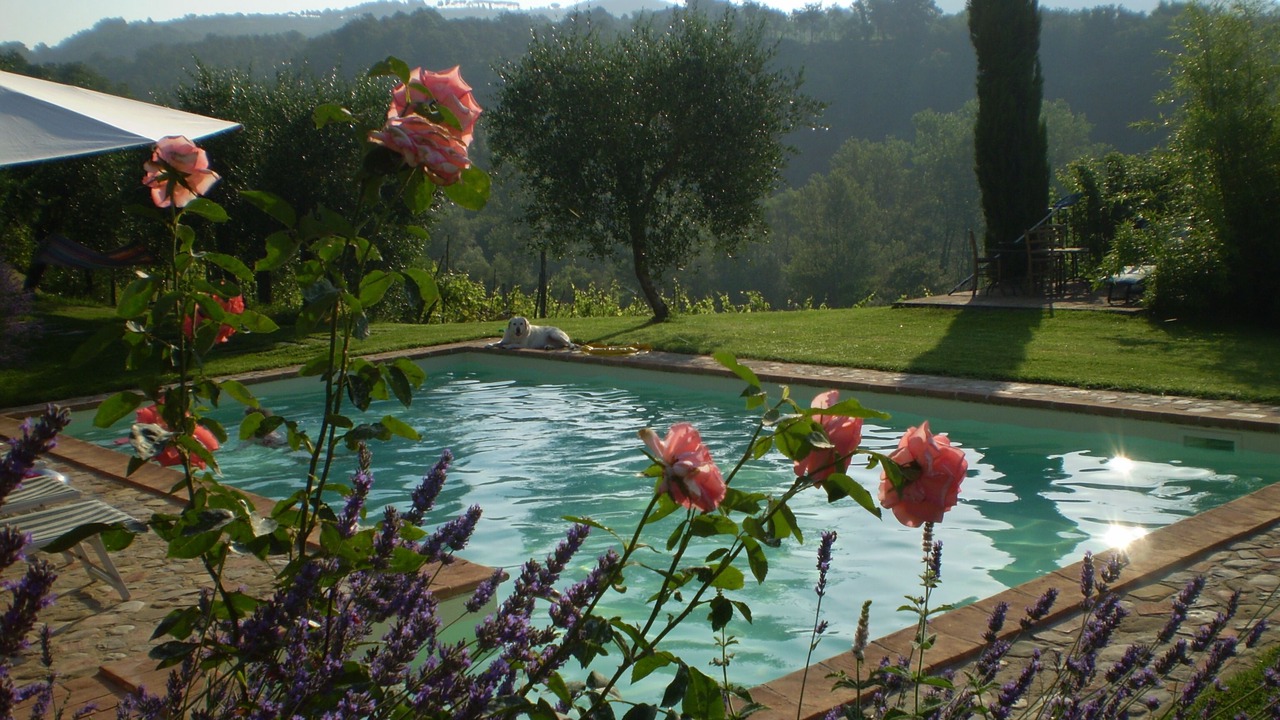Photo of Outdoor in Citta della Pieve