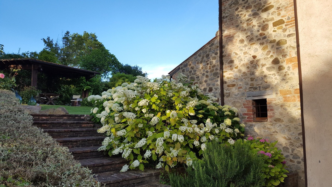Photo of Outdoor in Citta della Pieve