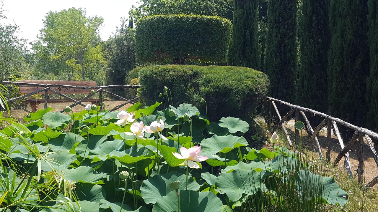 Photo of Outdoor in Citta della Pieve