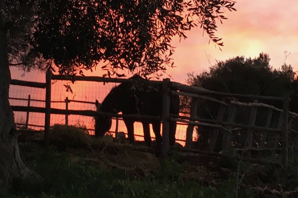 Photo of Outdoor in Fonte Blanda