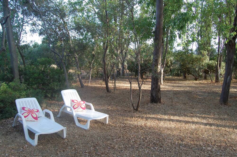 Photo of Outdoor in Lizzano