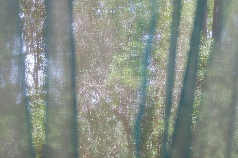Photo of Others in Lizzano