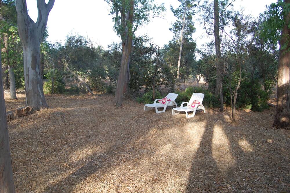 Photo of Outdoor in Lizzano