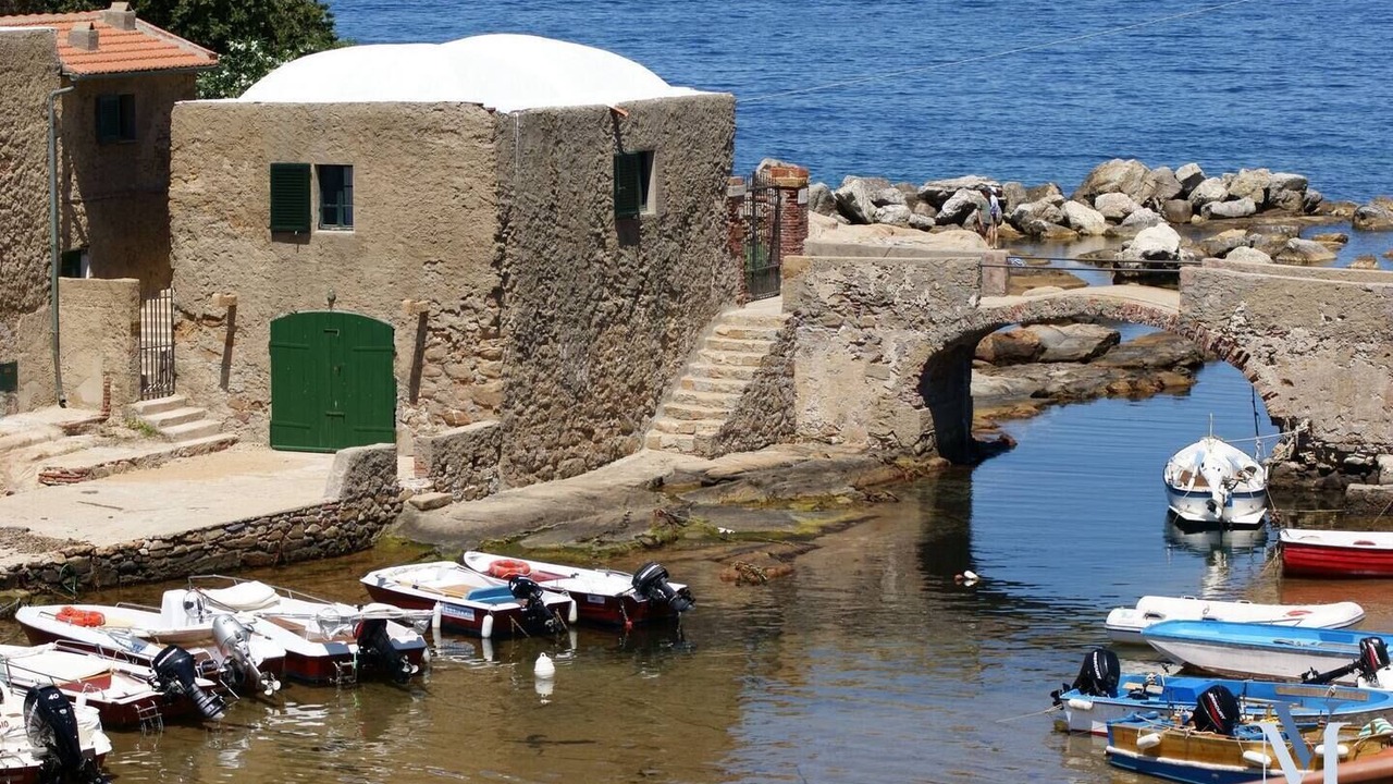 Photo of Others in Giglio Campese