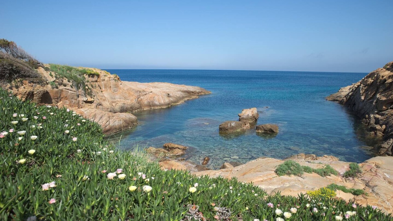 Photo of Others in Giglio Campese