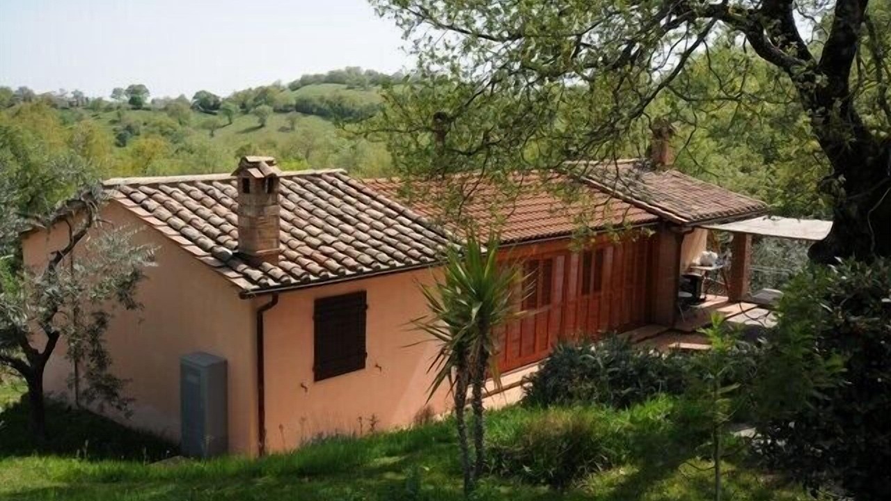 Photo of Outdoor in Scansano