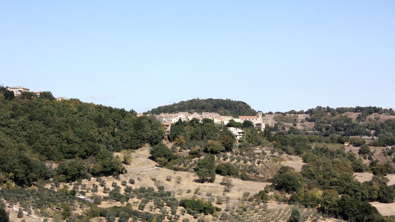Photo of Outdoor in Scansano