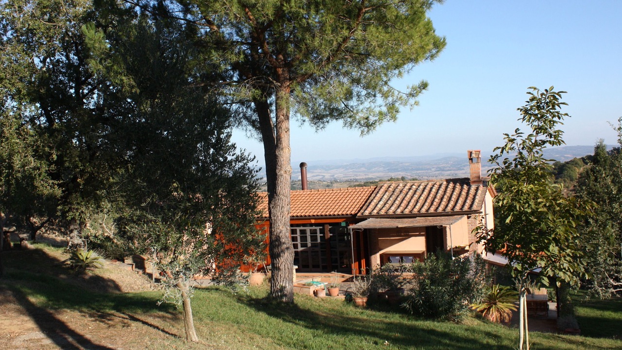 Photo of Outdoor in Scansano