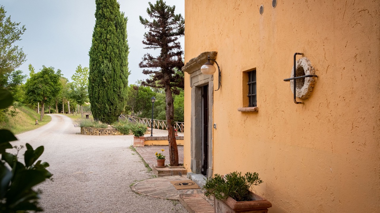 Photo of Outdoor in Collepepe